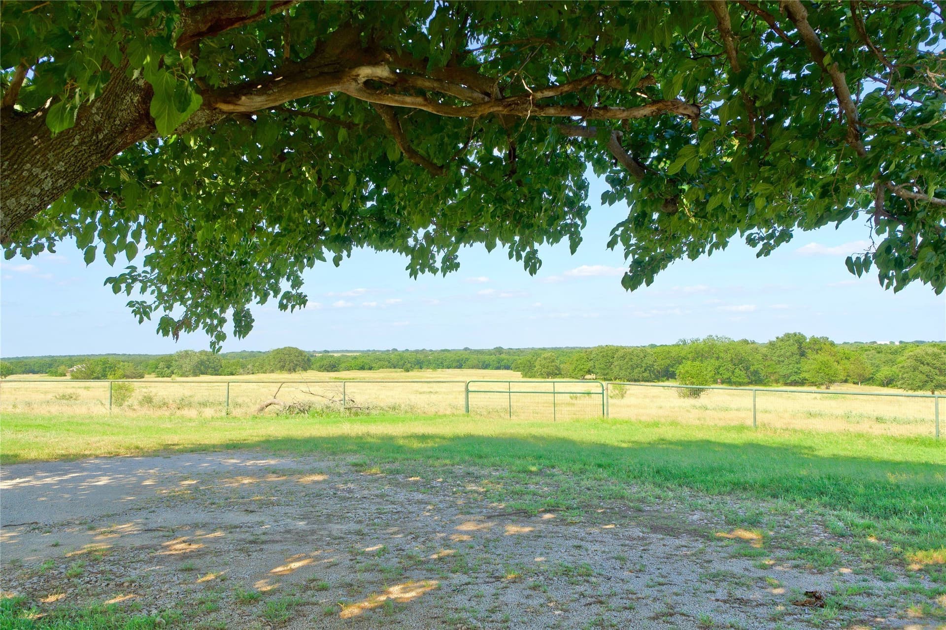 44.53 acres in Montague County - photo 28