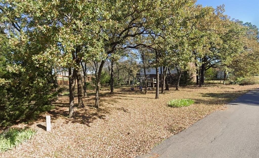 0.29 acres in Denton County gallery image 3