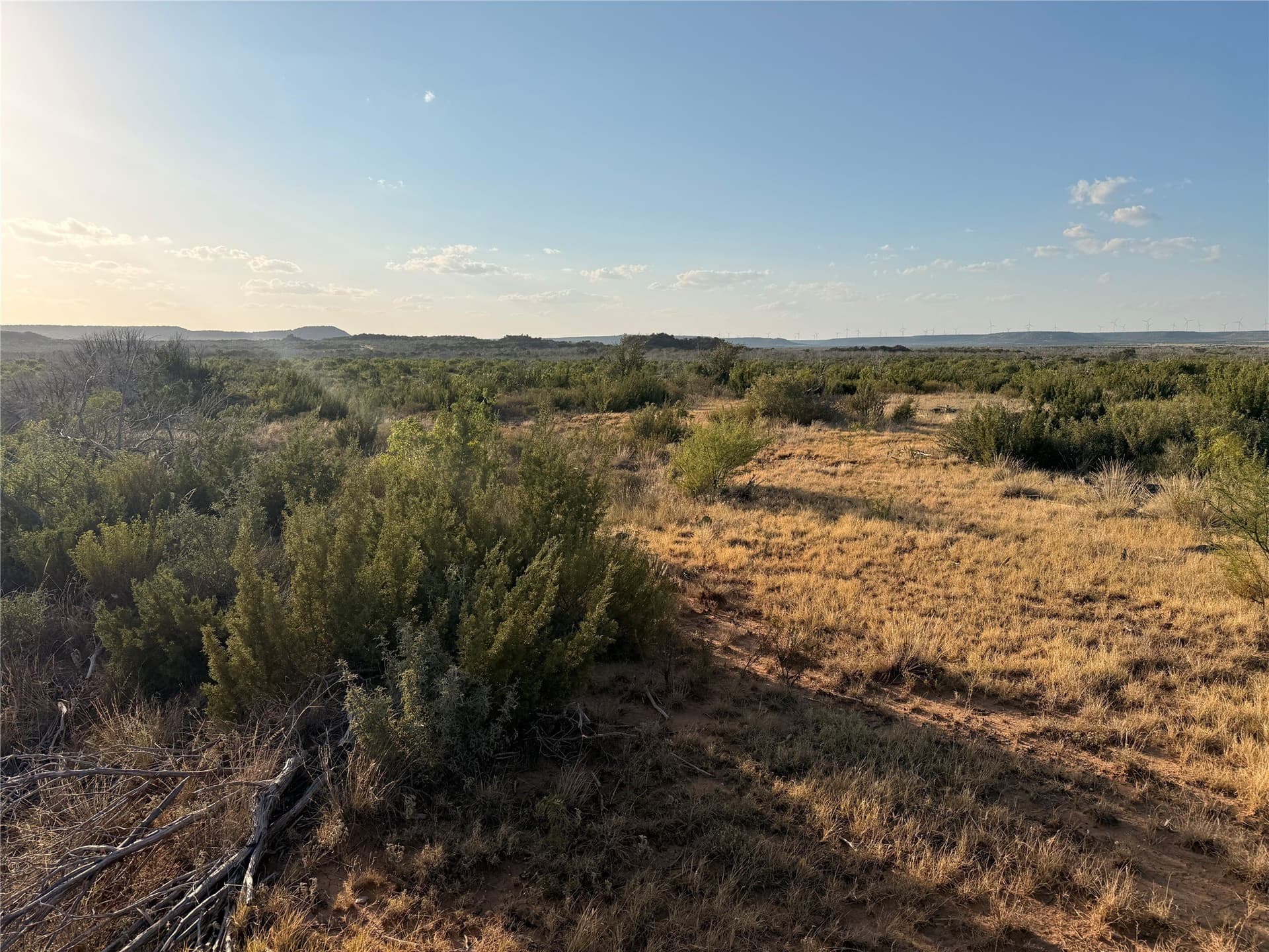 37 acres in Taylor County - photo 5