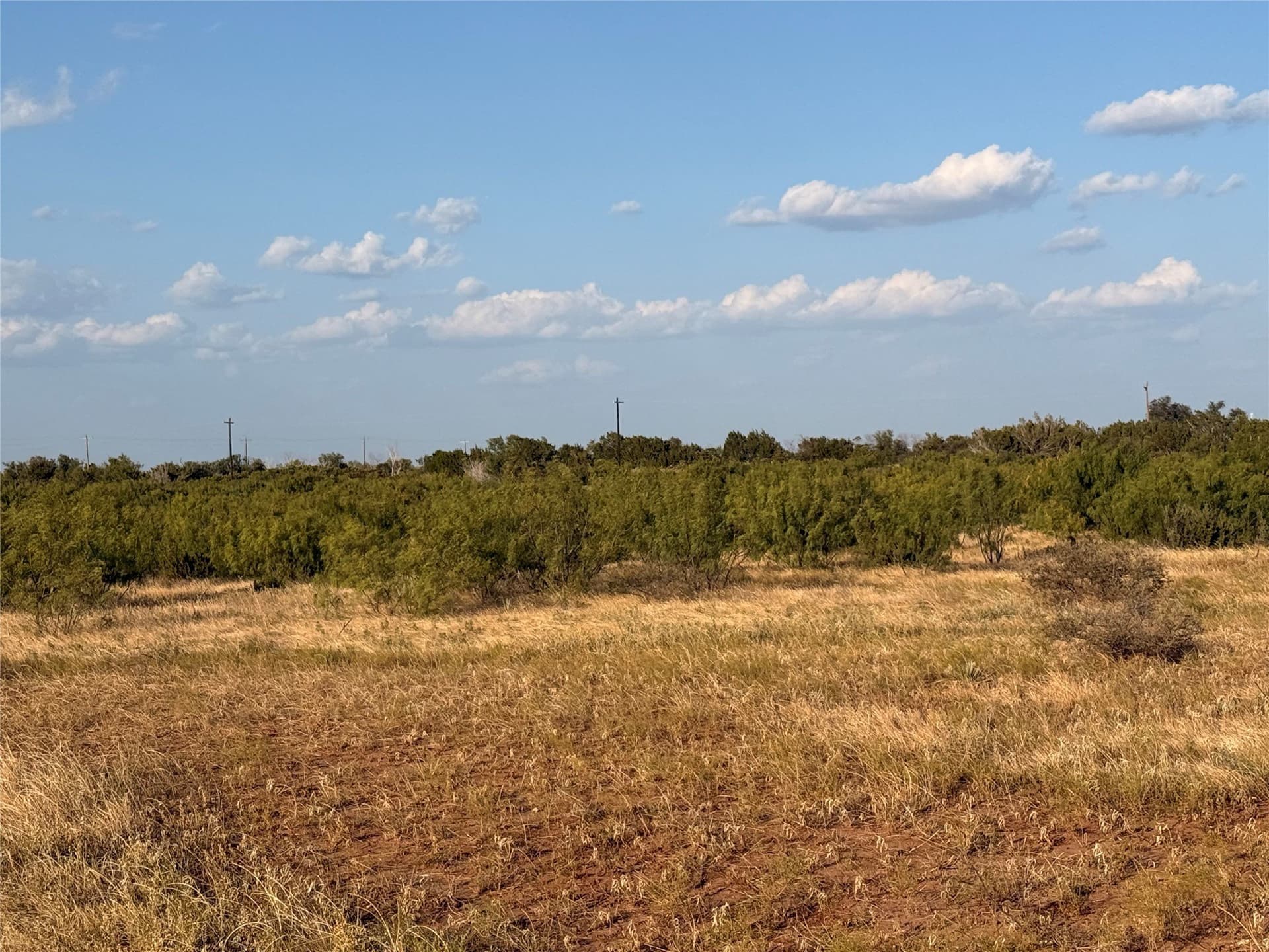 37 acres in Taylor County - photo 7