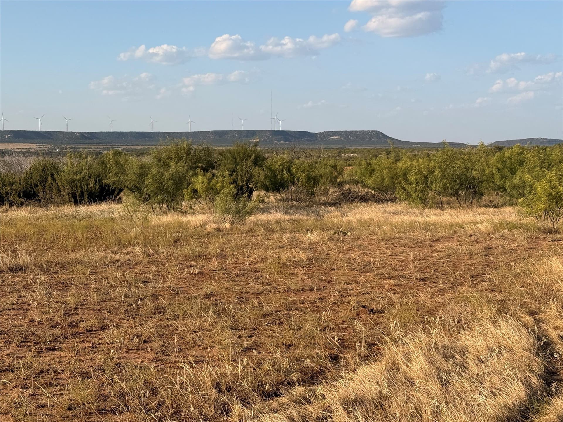 37 acres in Taylor County - photo 6
