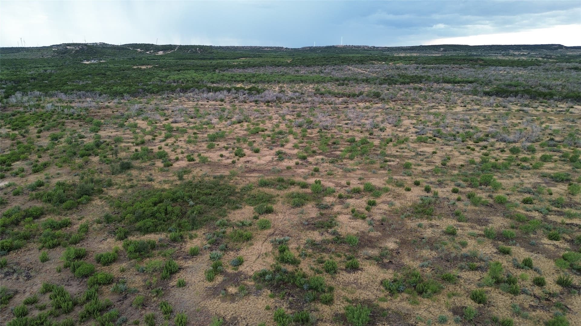 37 acres in Taylor County - photo 3