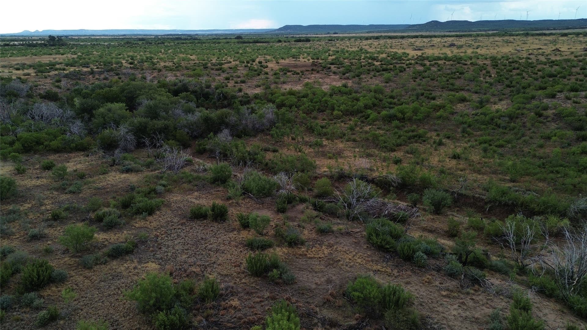 37 acres in Taylor County