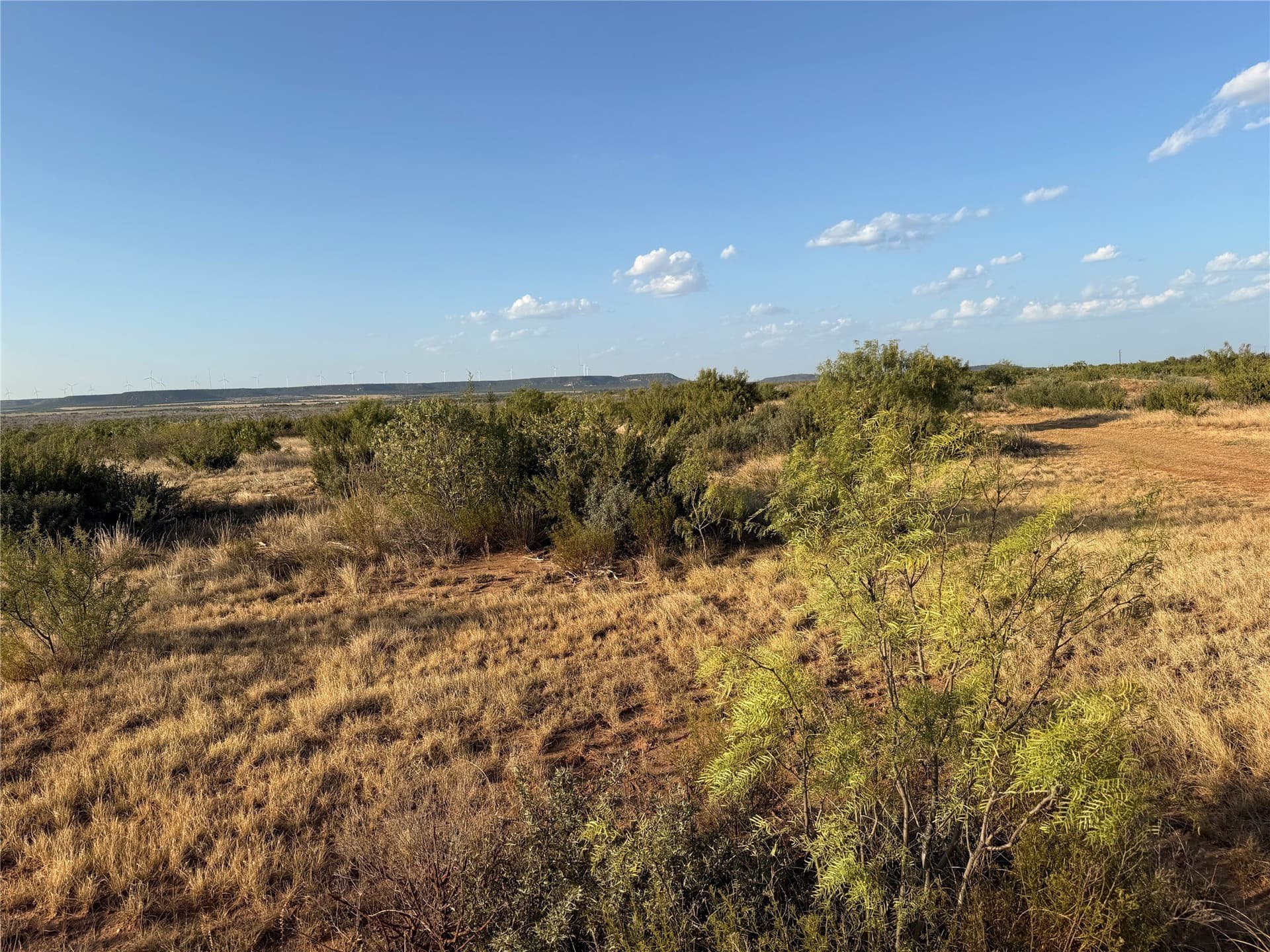 37 acres in Taylor County - photo 4