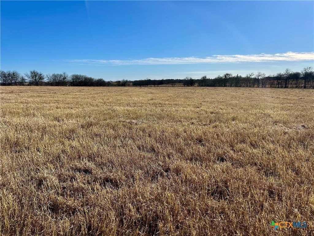 1.55 acres in Bell County gallery image 2