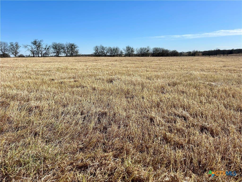 1.55 acres in Bell County gallery image 3