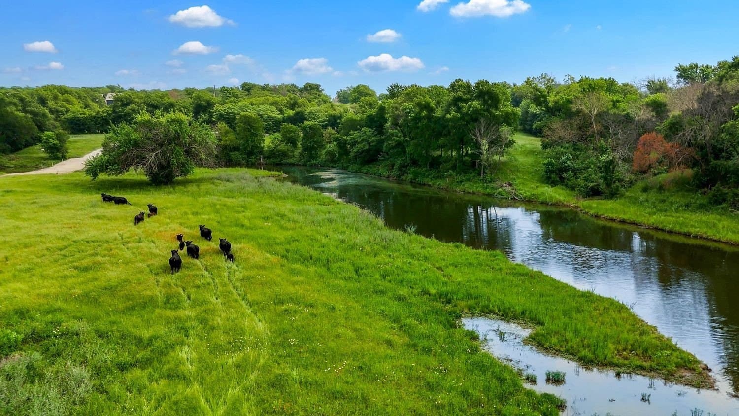 42.39 acres in Denton County gallery image 4