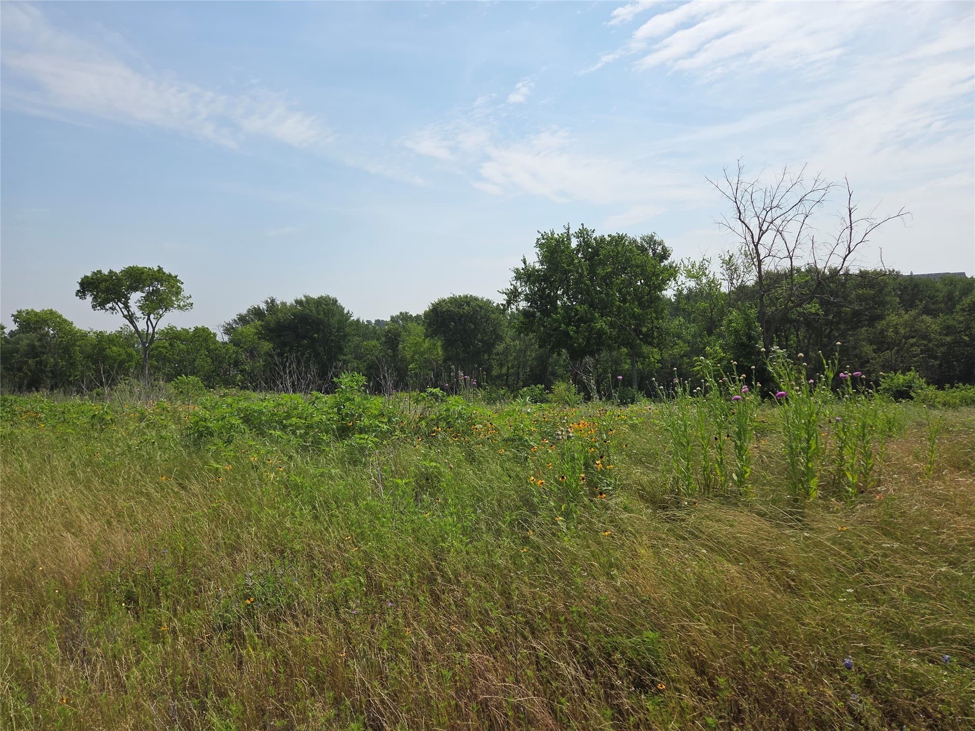 1.09 acres in Navarro County gallery image 4