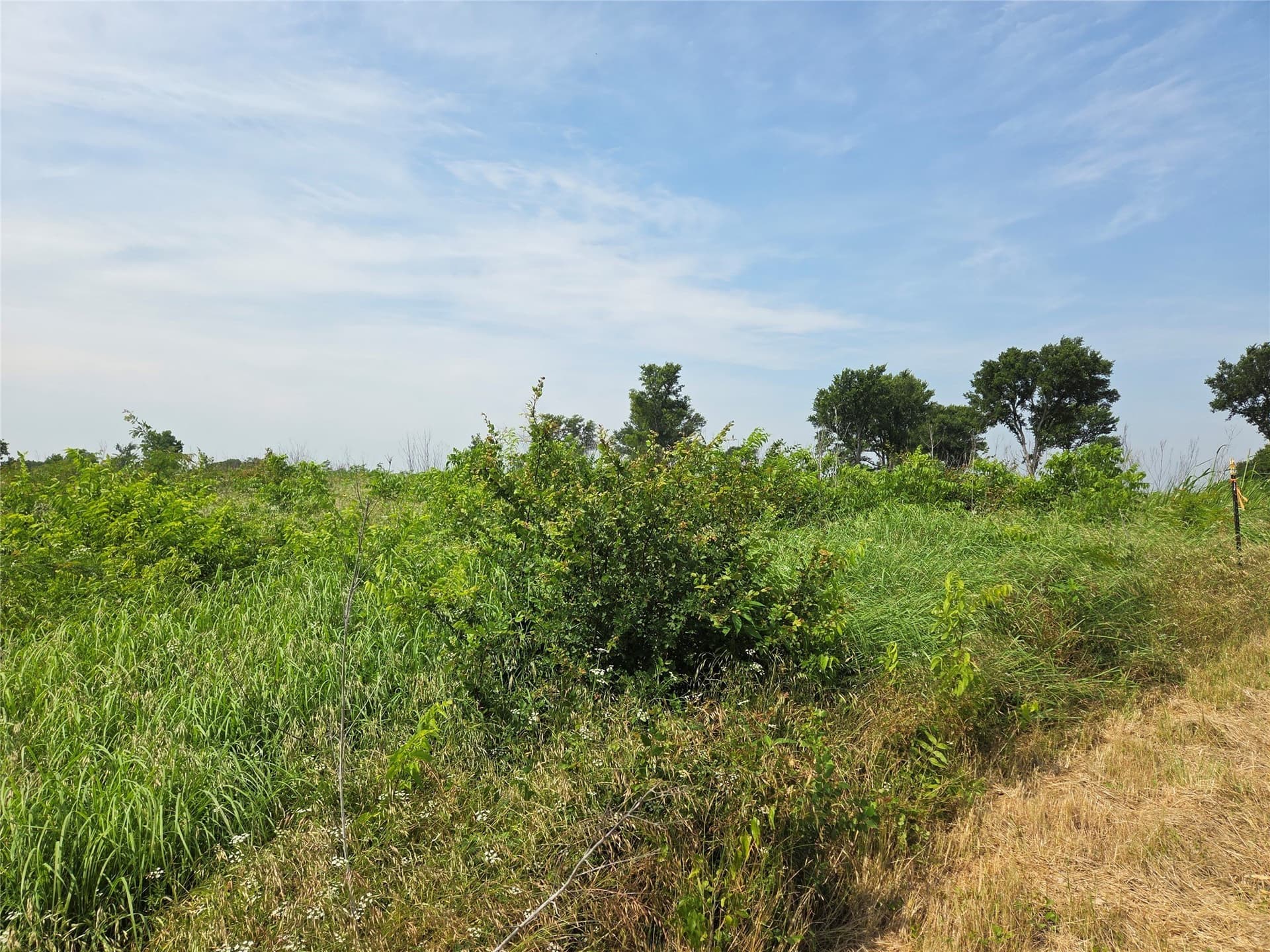 1.09 acres in Navarro County - photo 6