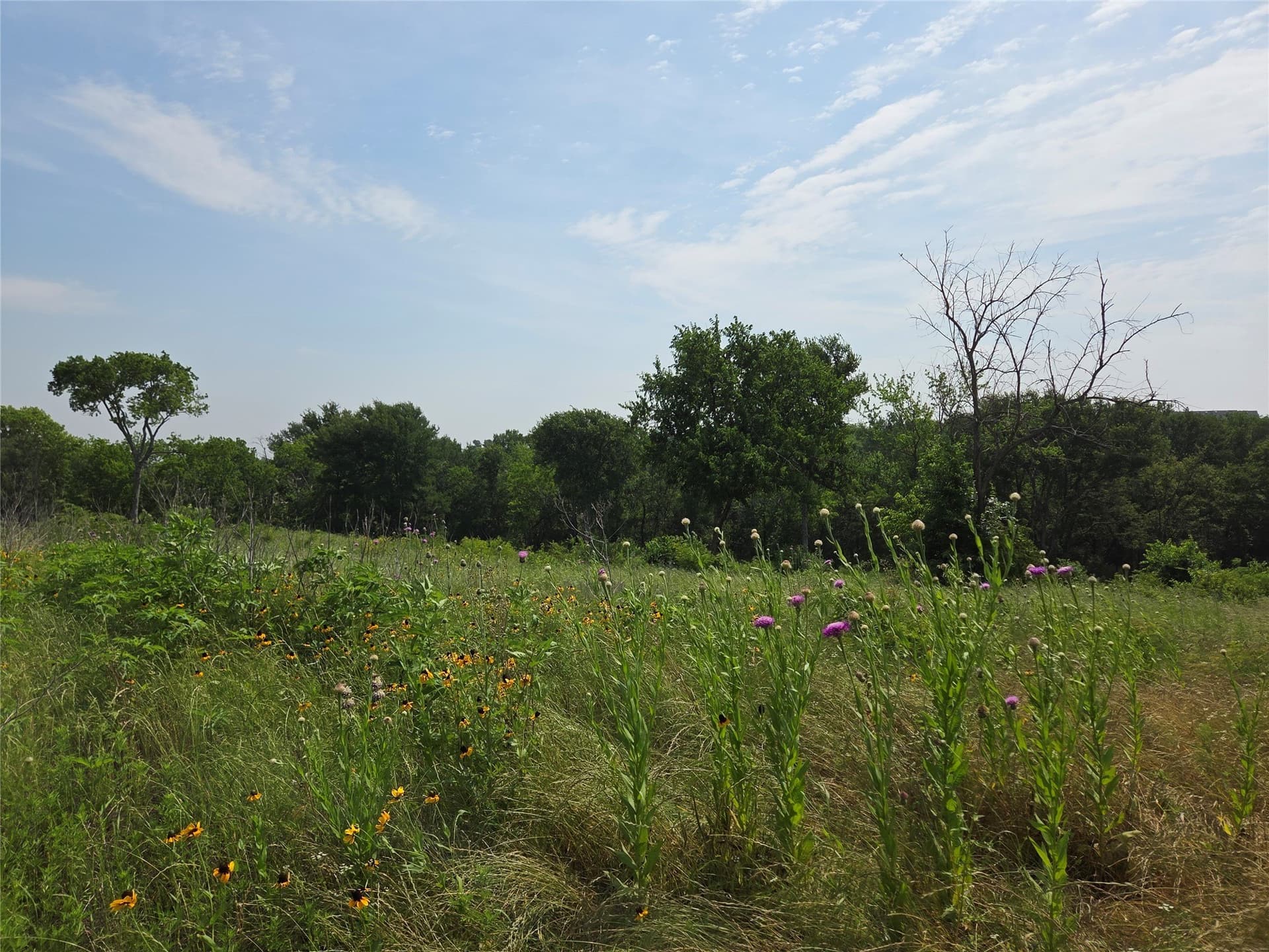 1.09 acres in Navarro County - photo 11