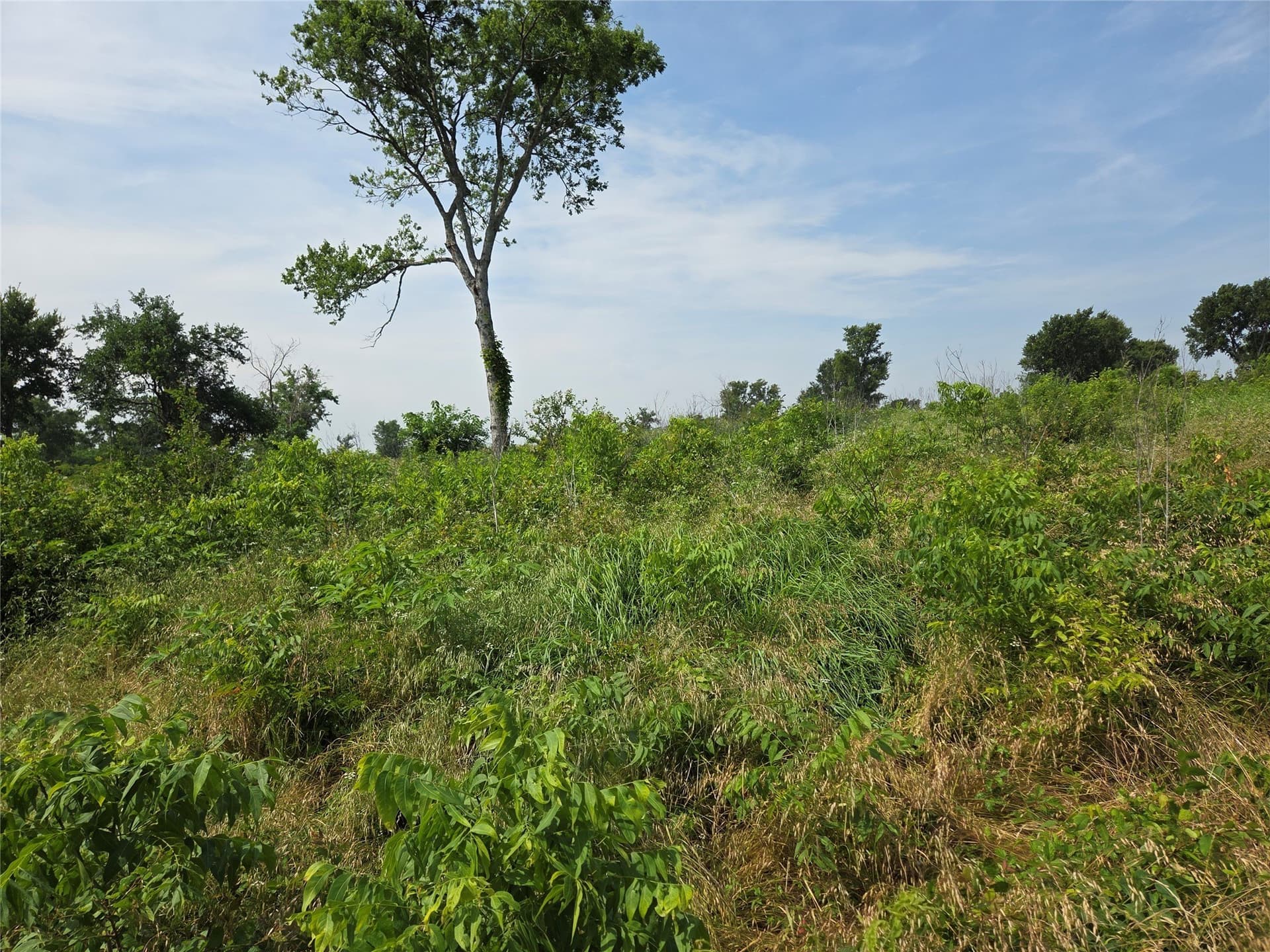 1.09 acres in Navarro County - photo 8