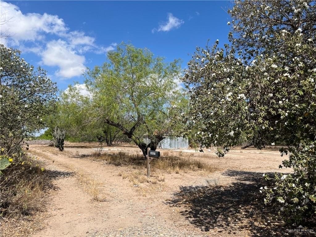 6.04 acres in Hidalgo County gallery image 2