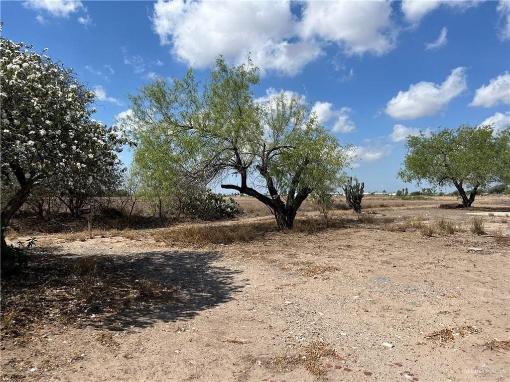 6.04 acres in Hidalgo County gallery image 3