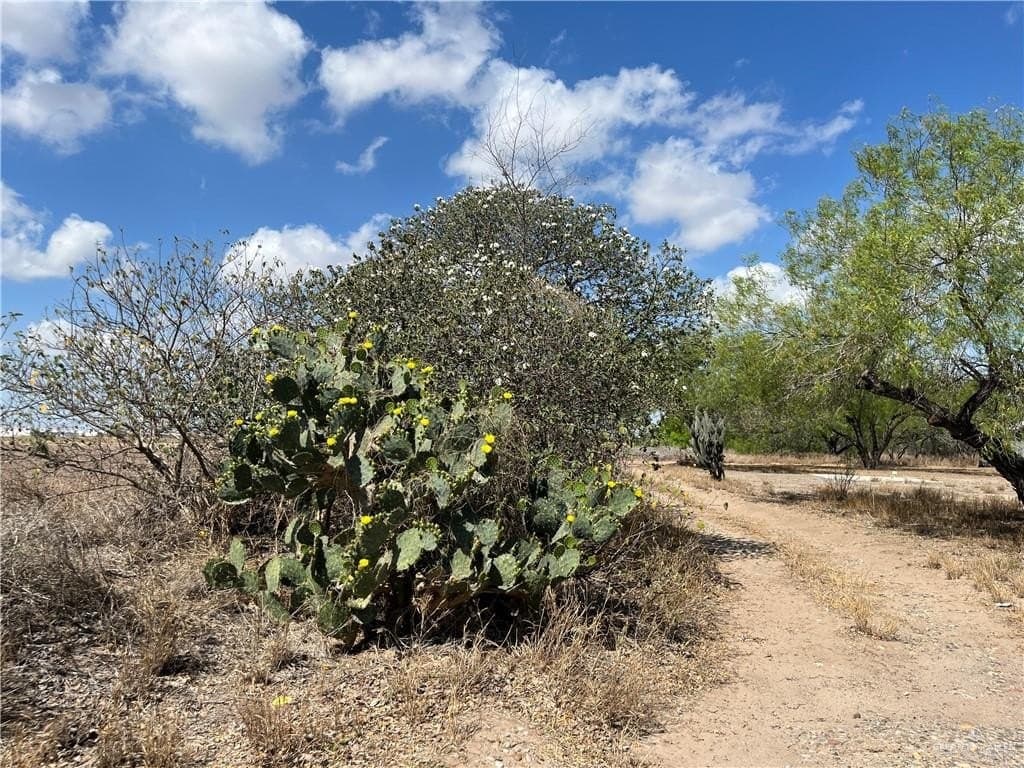 6.04 acres in Hidalgo County - photo 9