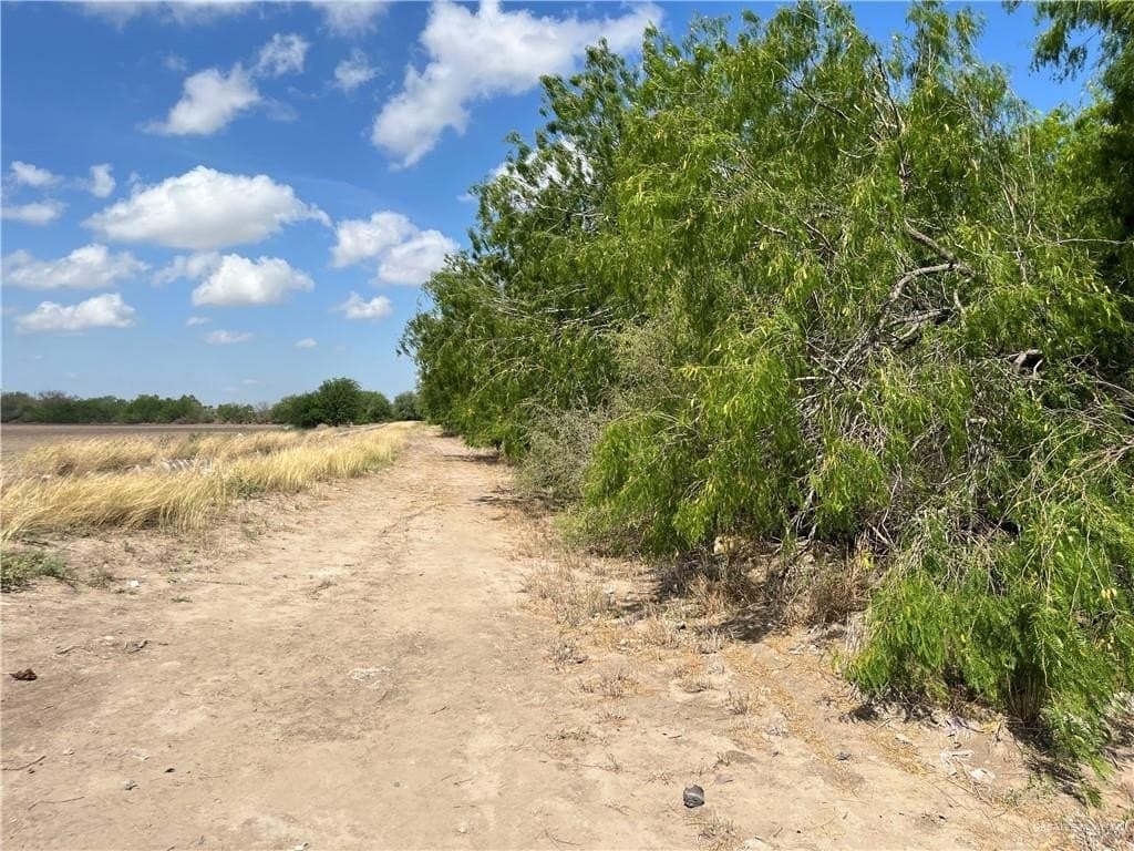 6.04 acres in Hidalgo County - photo 11