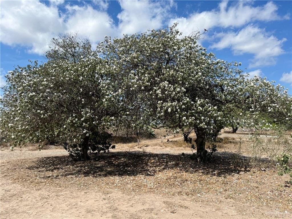 6.04 acres in Hidalgo County featured view