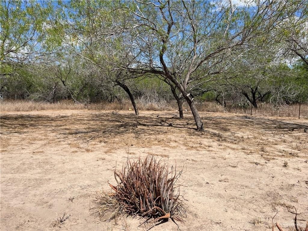 6.04 acres in Hidalgo County - photo 17