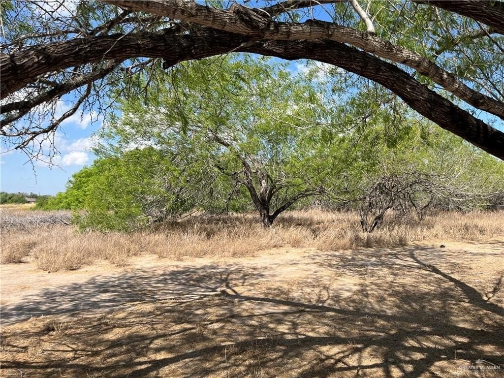 6.04 acres in Hidalgo County - photo 16
