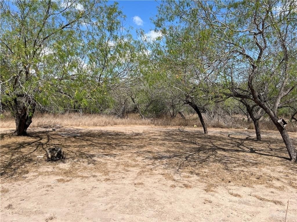 6.04 acres in Hidalgo County - photo 6