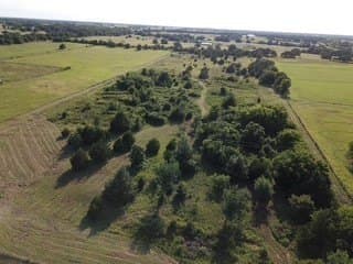 14 acres in Wise County gallery image 3