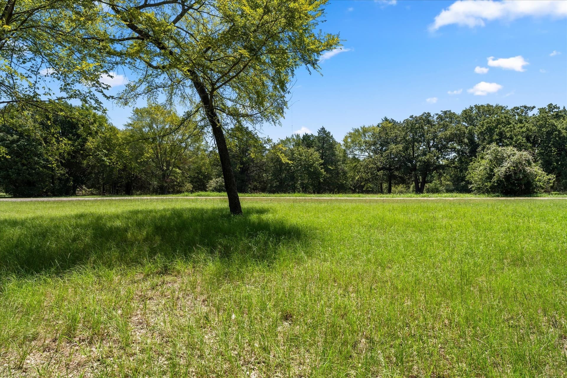 1.05 acres in Navarro County - photo 10