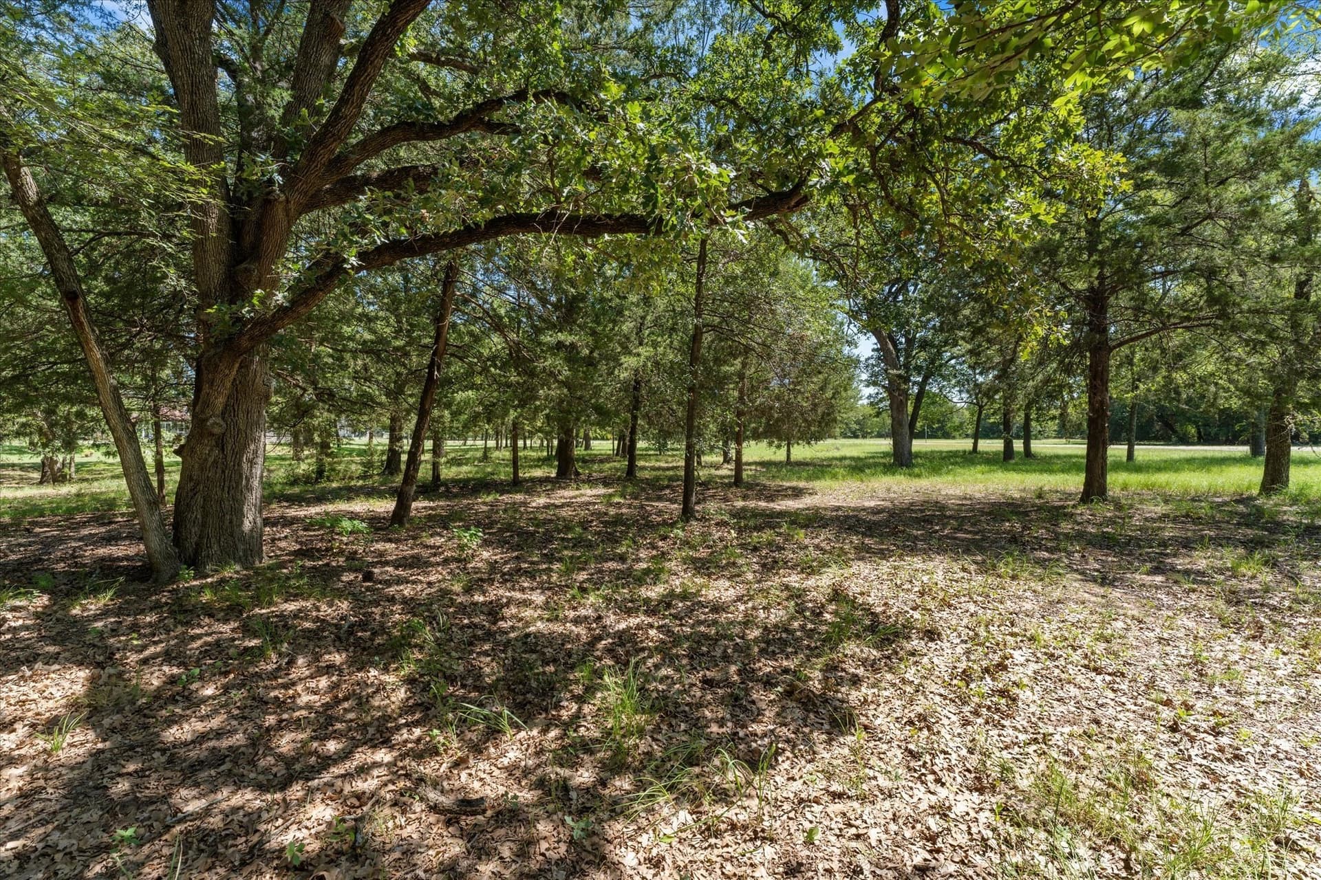 1.05 acres in Navarro County - photo 8