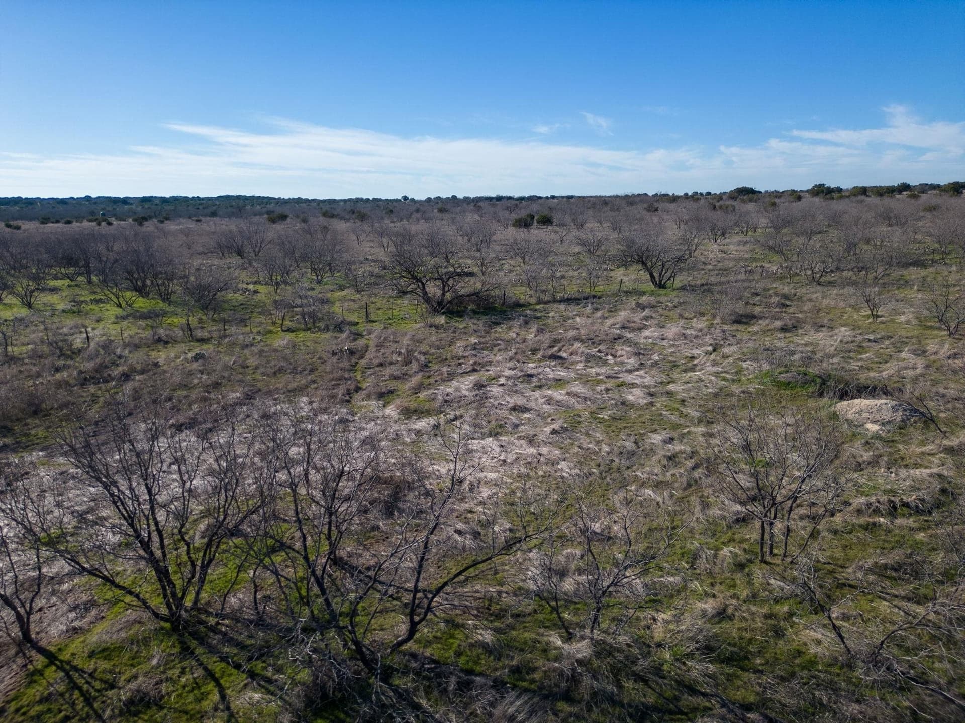 75 acres in Lampasas County - photo 18
