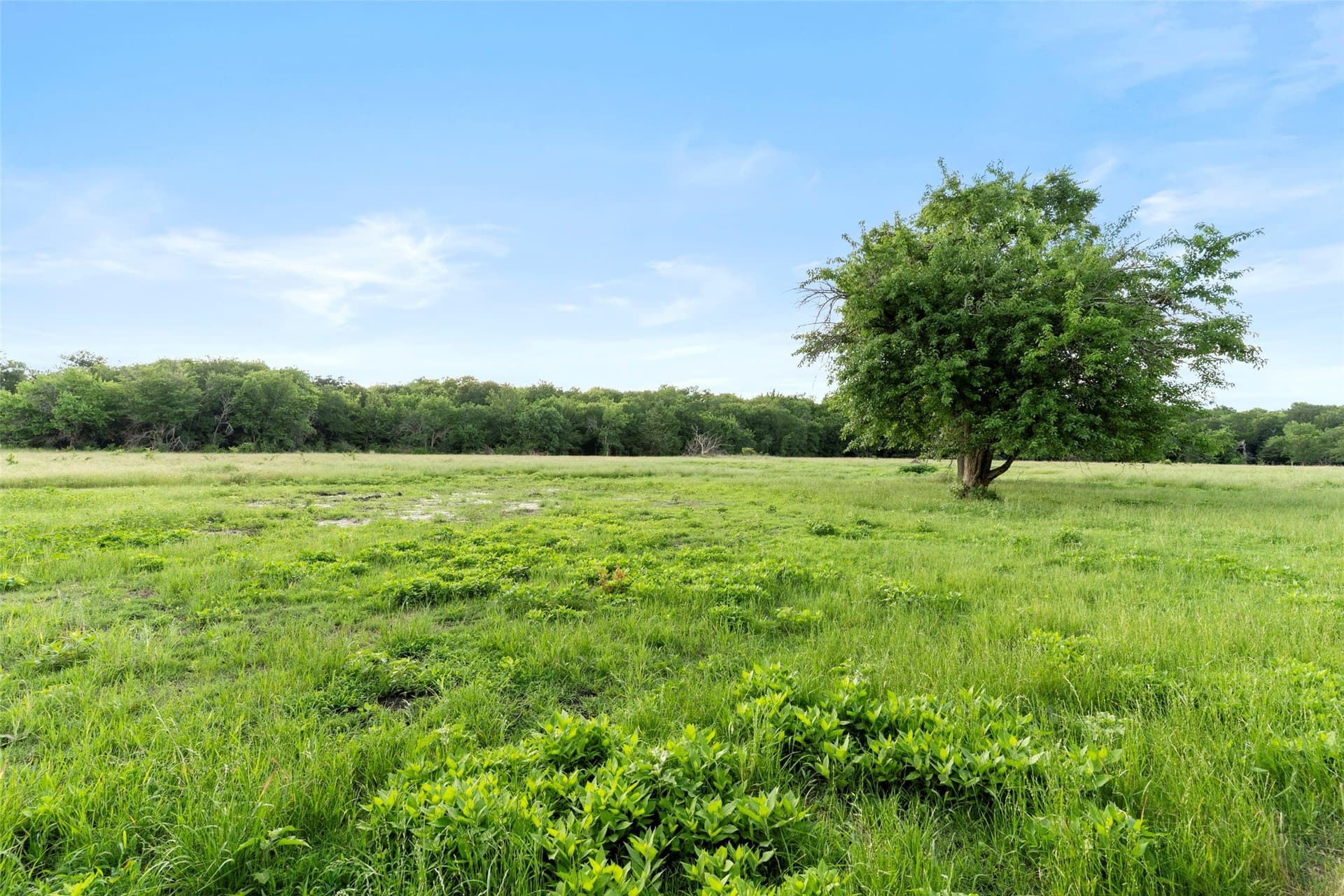 26.12 acres in Collin County - photo 38