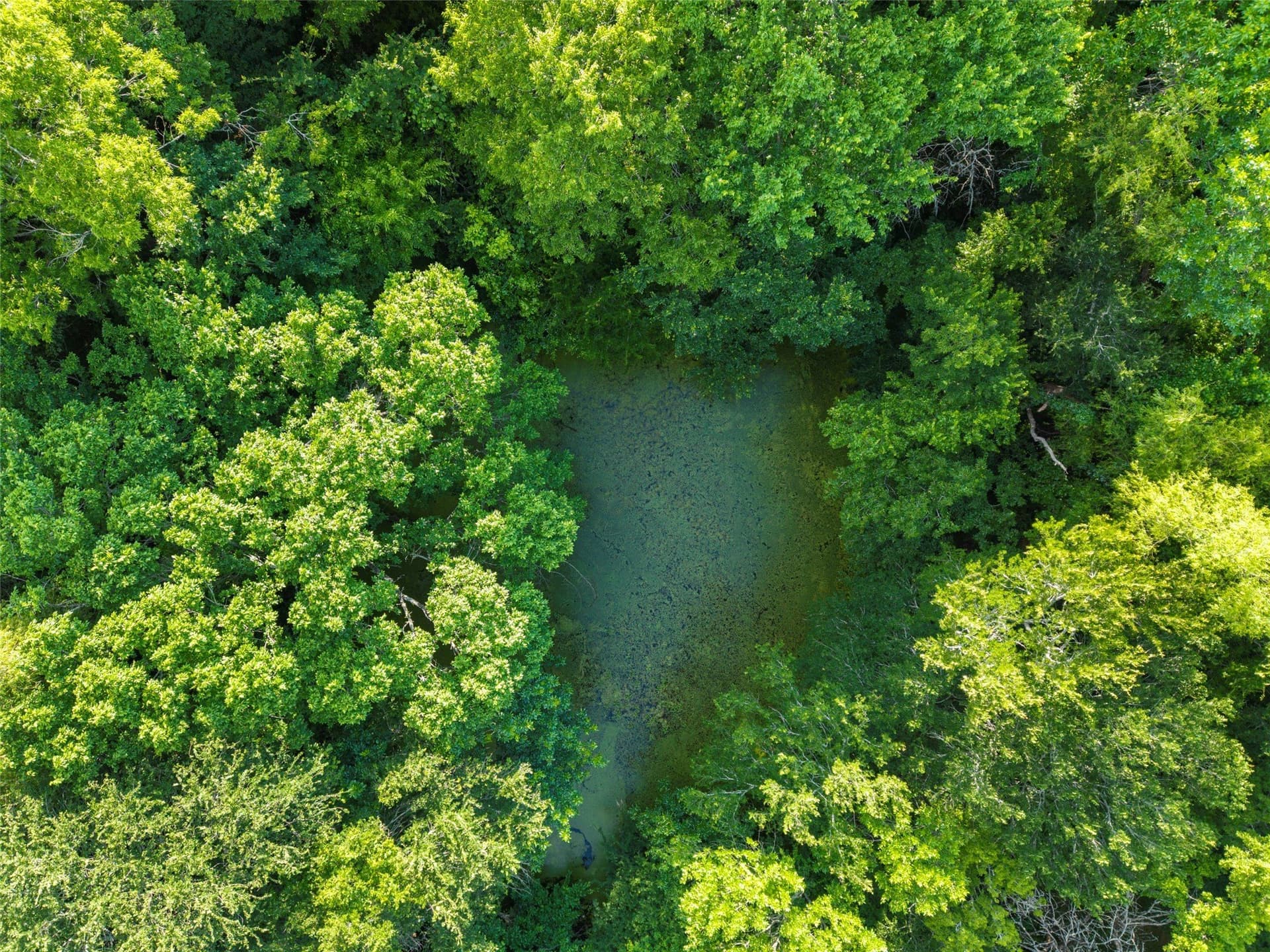 26.12 acres in Collin County - photo 10