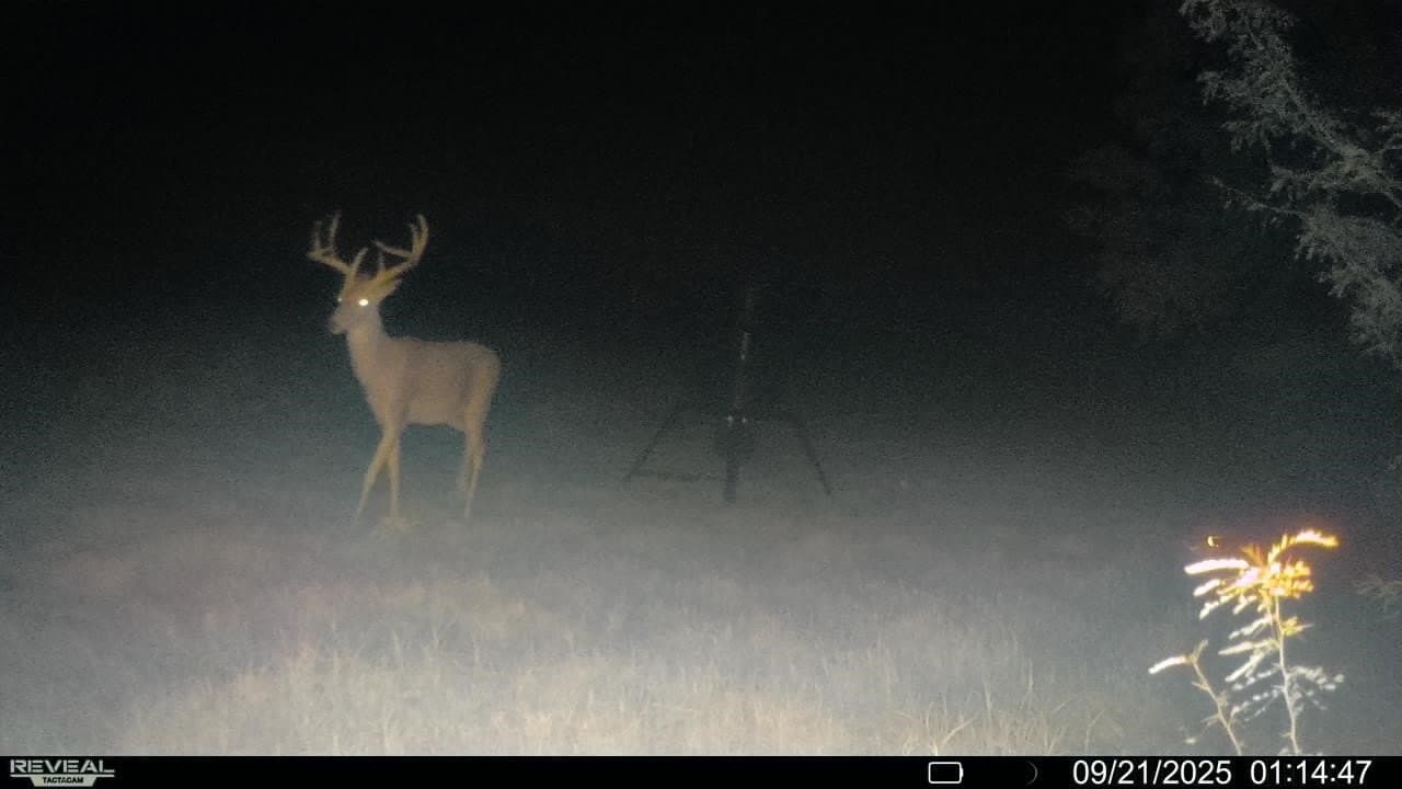 26.12 acres in Collin County - photo 9