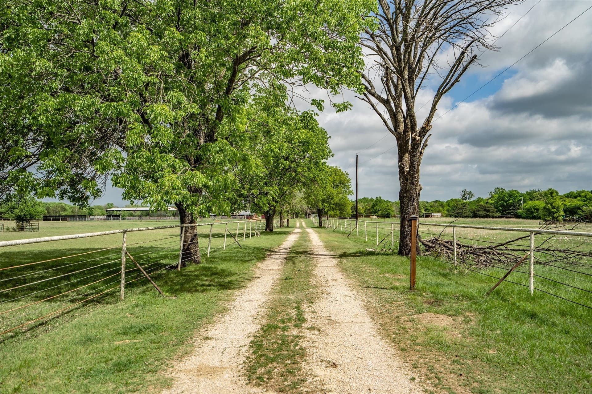 24.29 acres in Collin County - photo 4