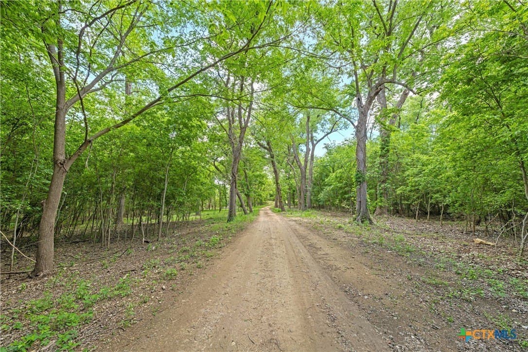 58.84 acres in McLennan County gallery image 4