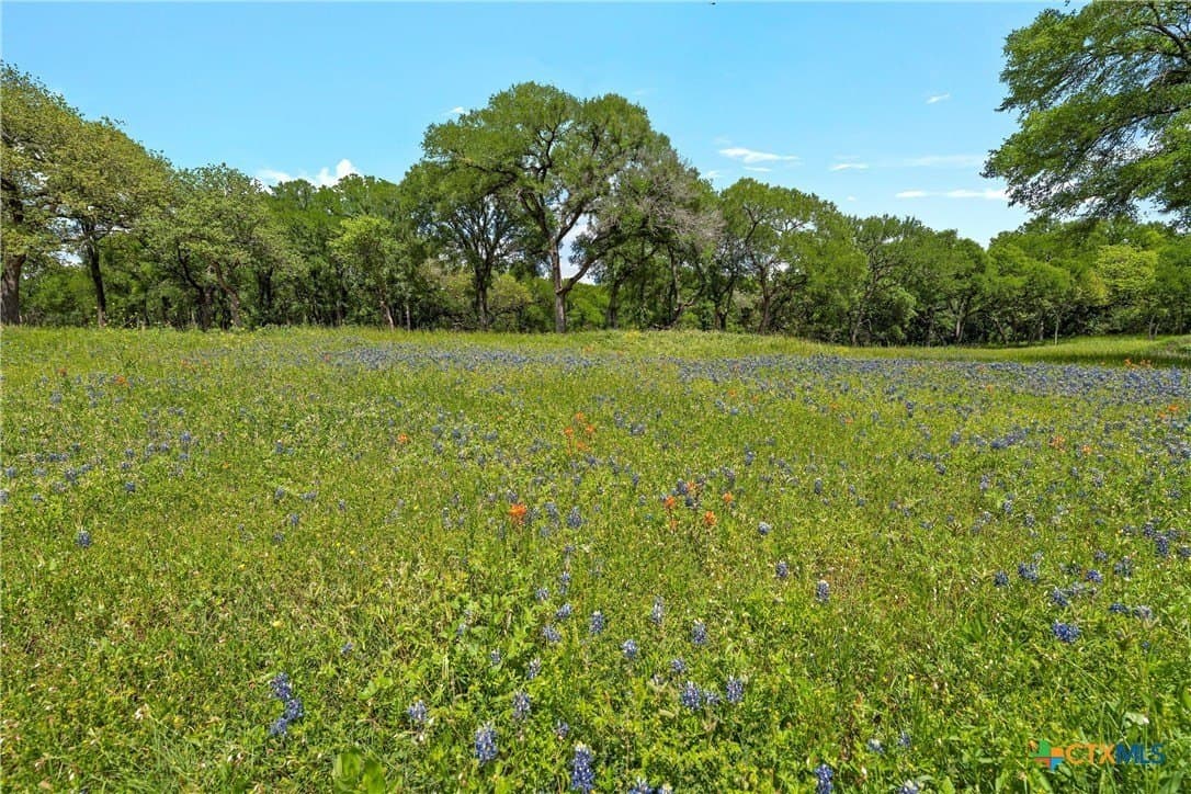 58.84 acres in McLennan County - photo 13