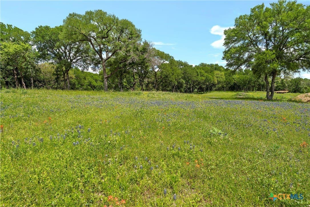 58.84 acres in McLennan County - photo 14