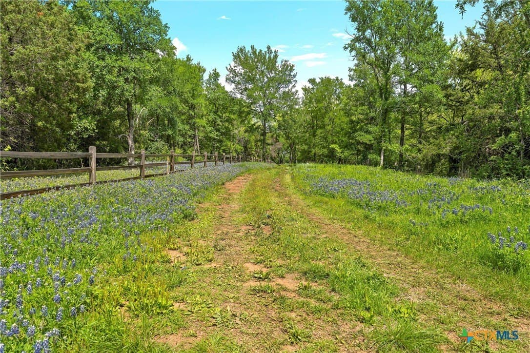 58.84 acres in McLennan County - photo 8