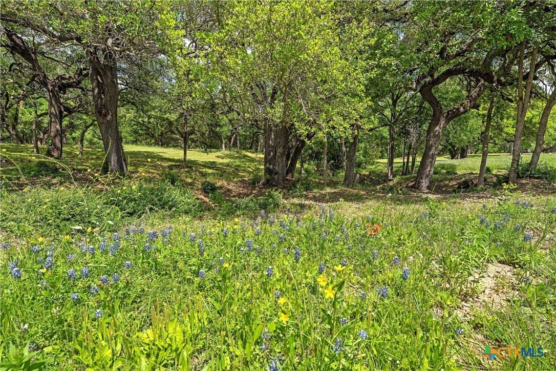 58.84 acres in McLennan County - photo 11
