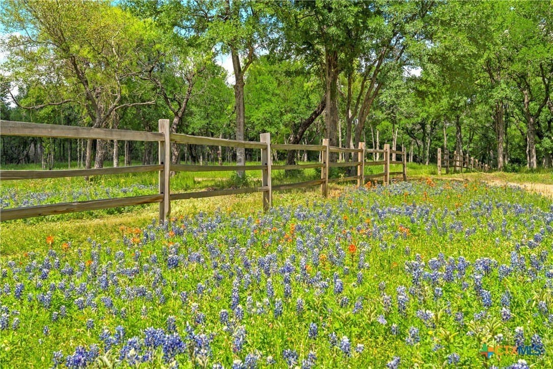 58.84 acres in McLennan County - photo 9
