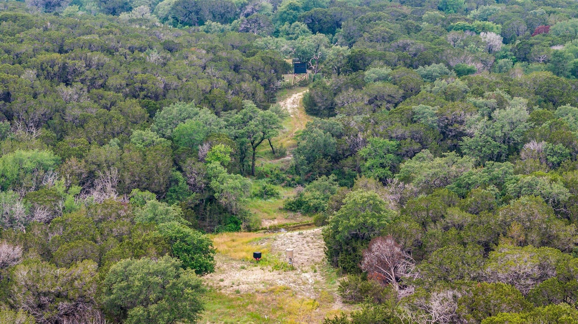 40 acres in Somervell County - photo 11