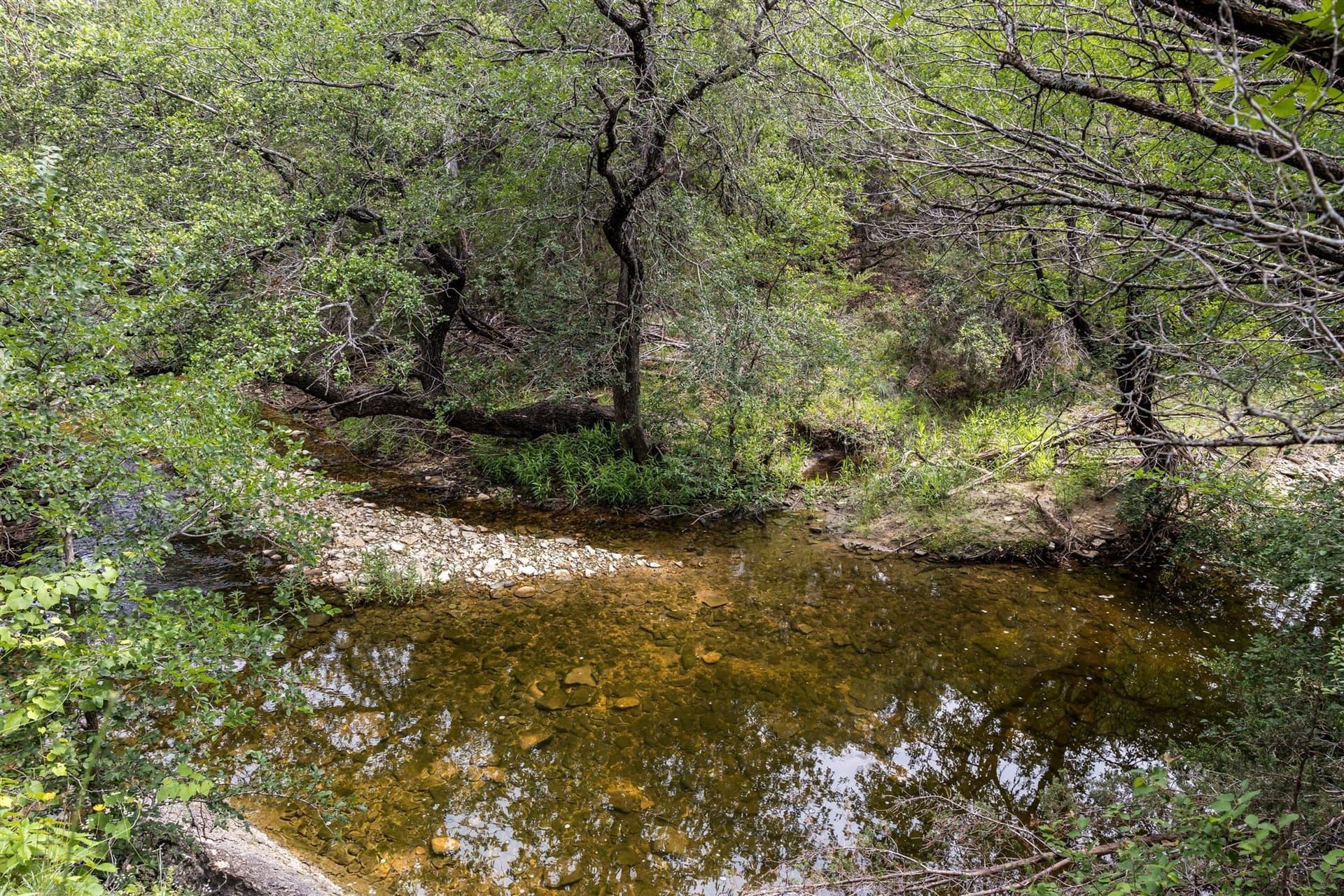 40 acres in Somervell County - photo 10