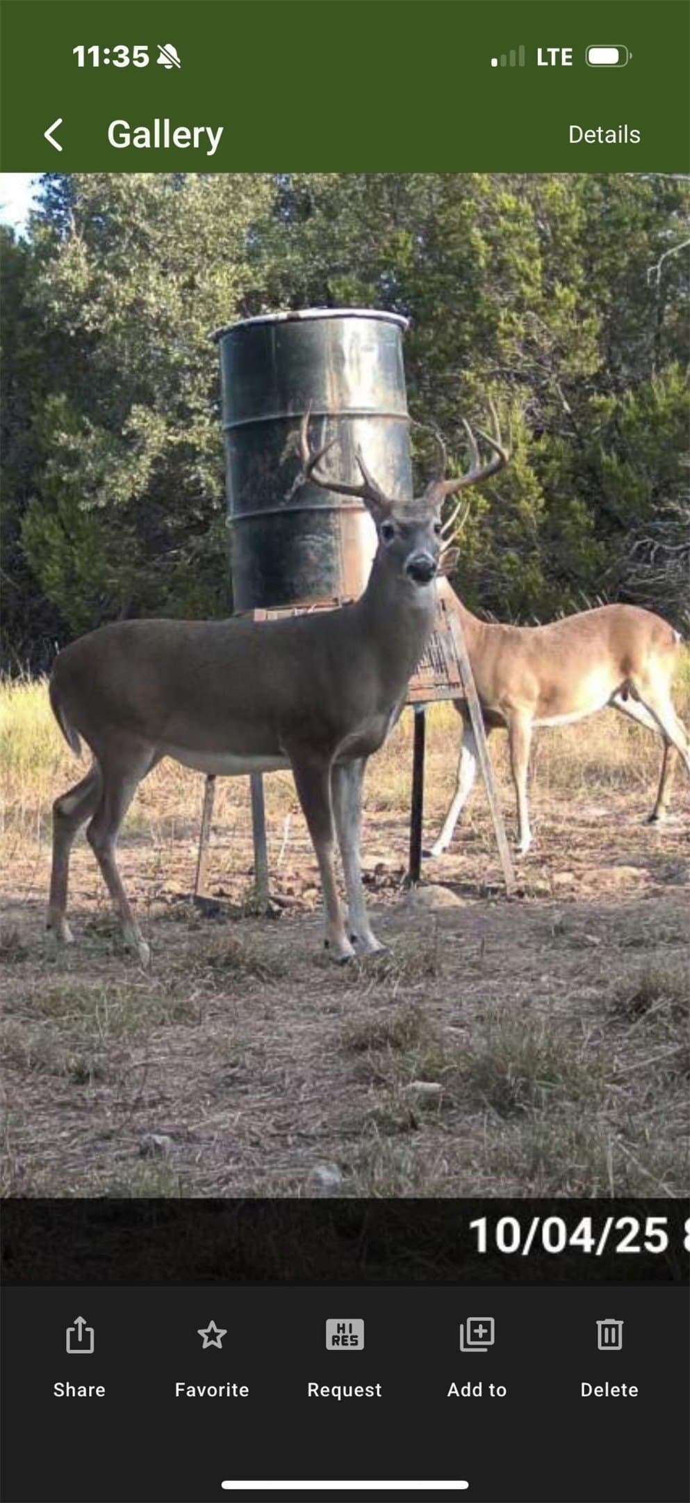 40 acres in Somervell County gallery image 2