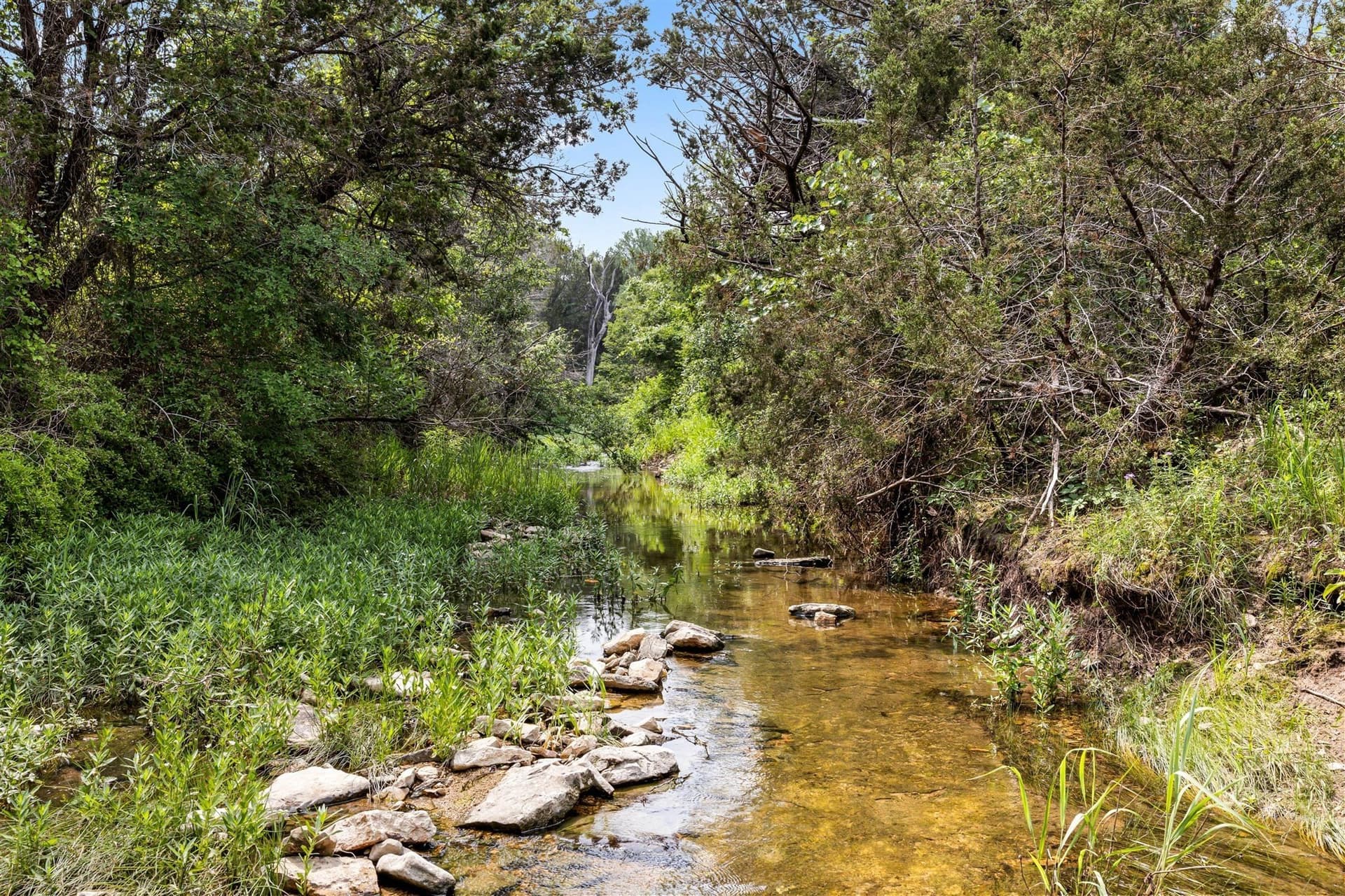 40 acres in Somervell County - photo 9