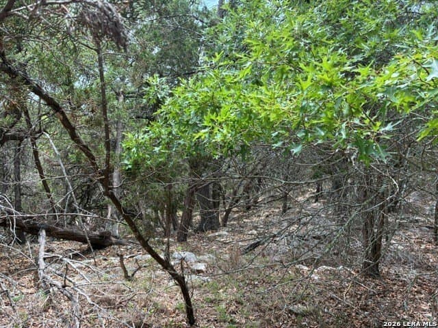 0.21 acres in Comal County gallery image 2