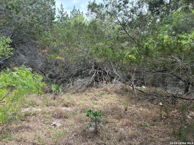 0.21 acres in Comal County featured view