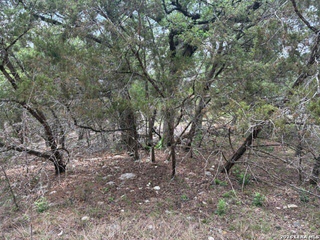 0.21 acres in Comal County - photo 6