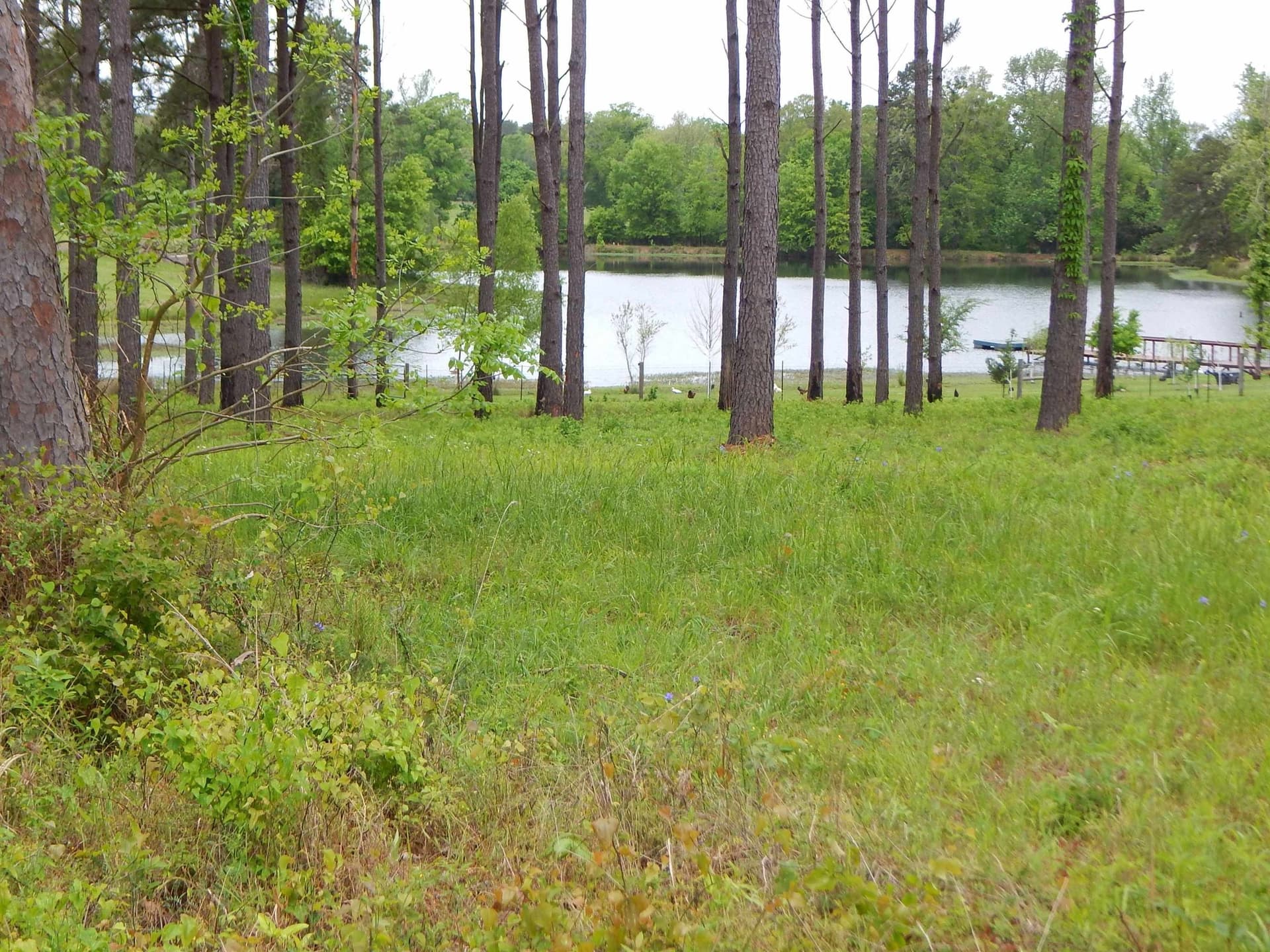 2.52 acres in Texas County gallery image 3