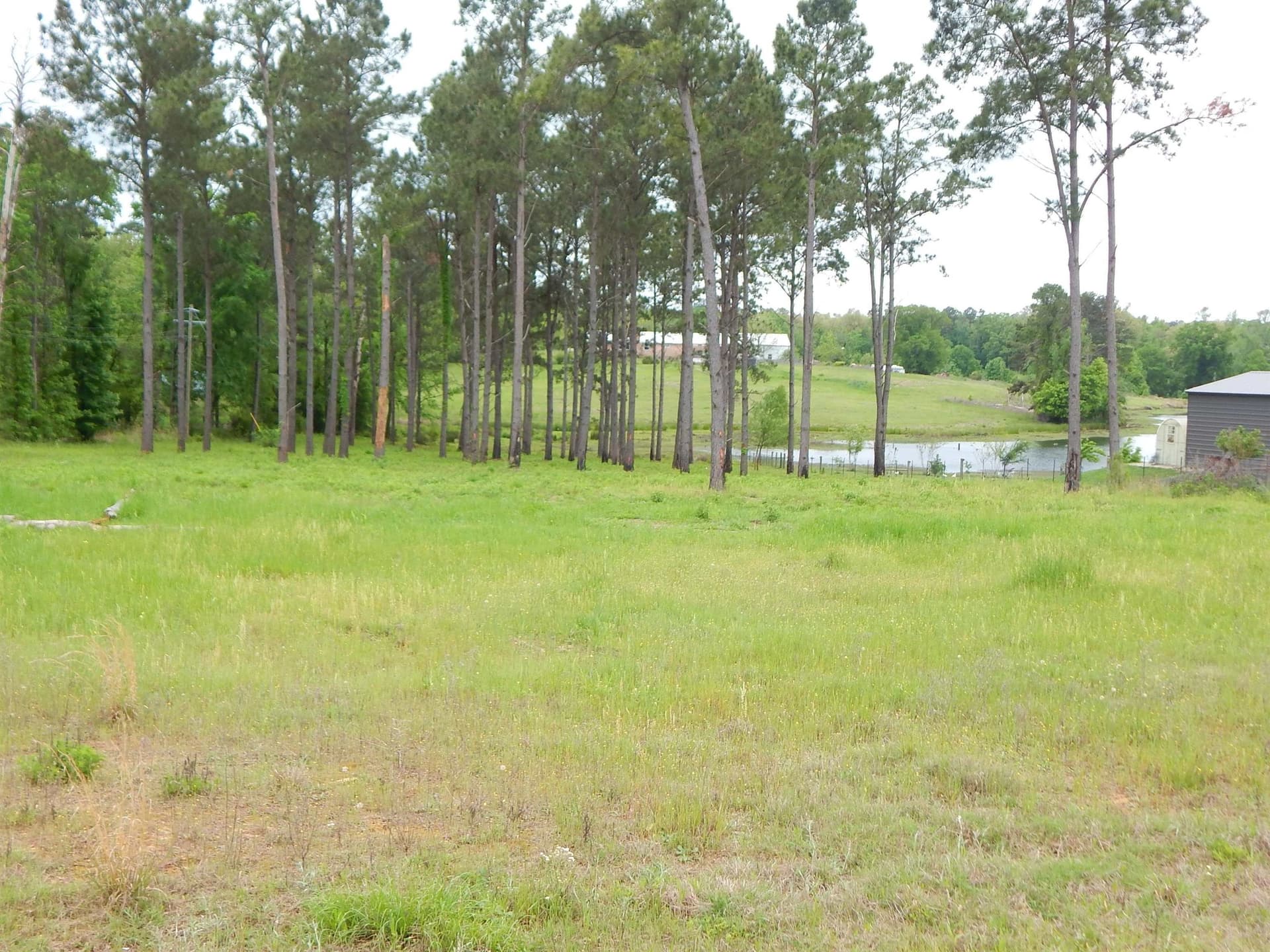 2.52 acres in Texas County gallery image 2