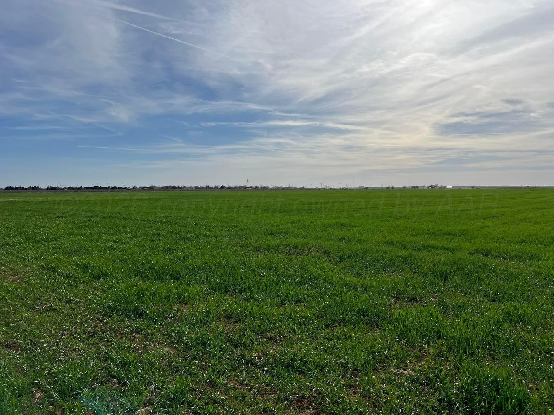 164 acres in Foard County - photo 15