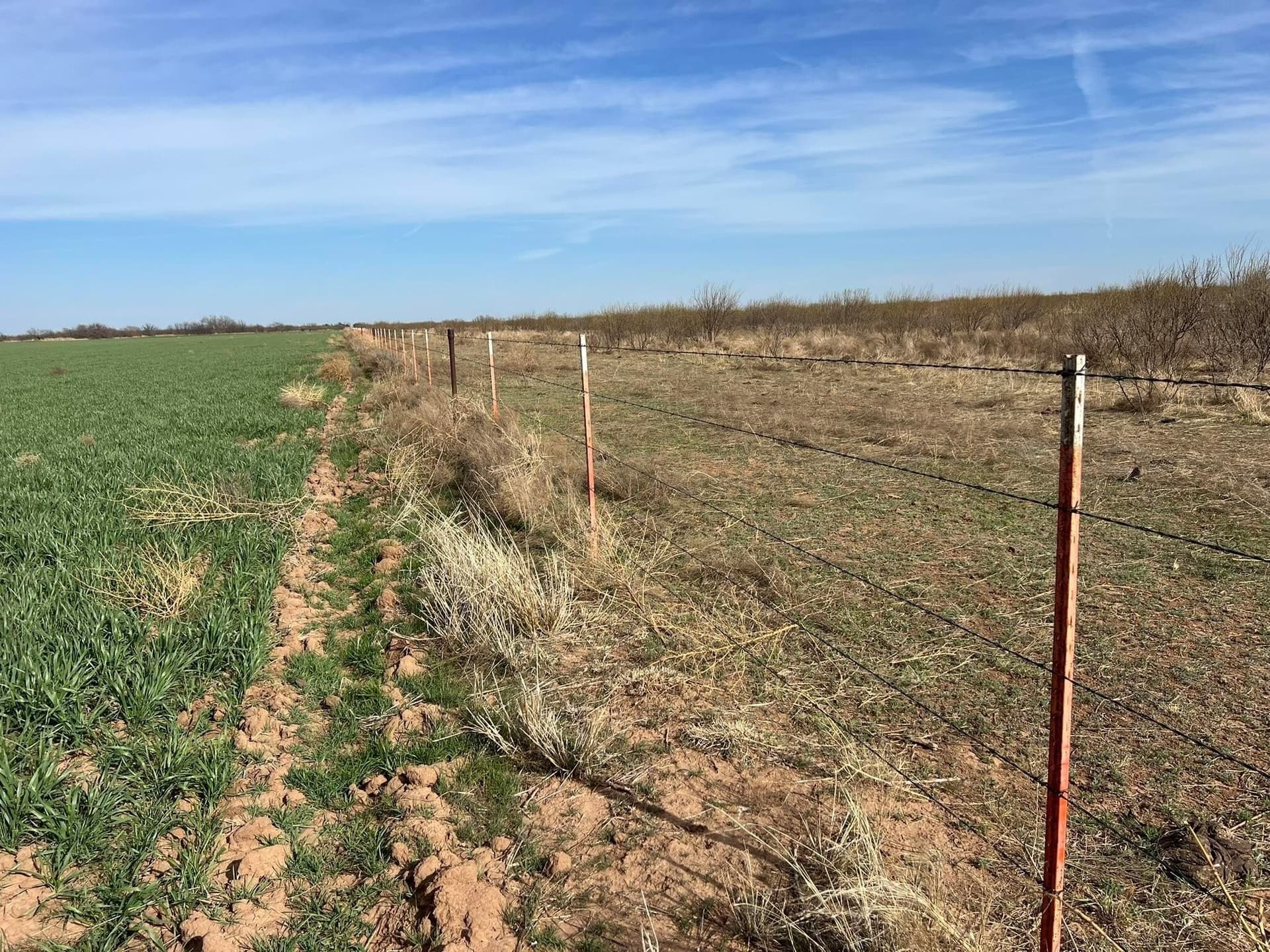 164 acres in Foard County - photo 9