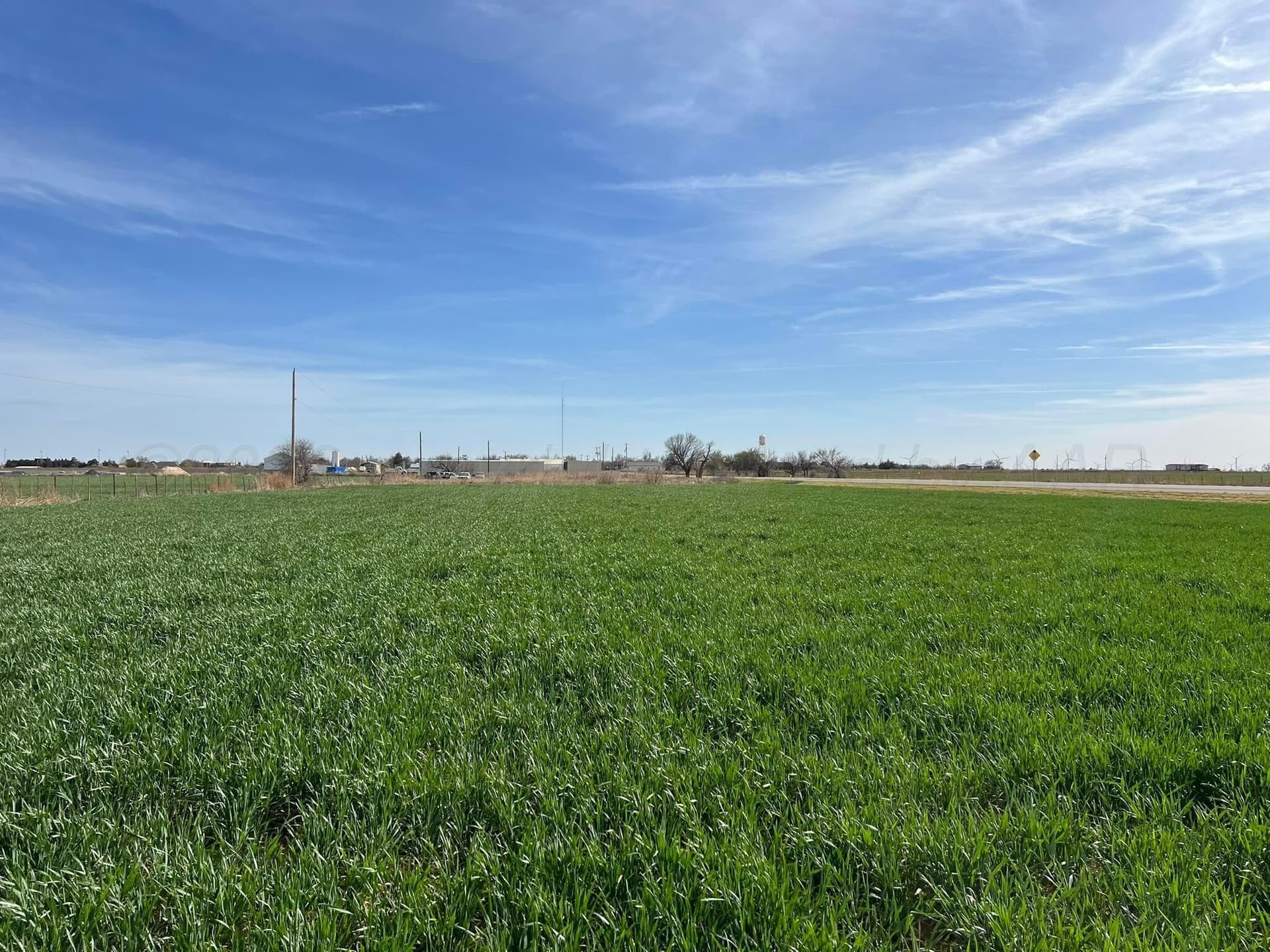164 acres in Foard County - photo 8