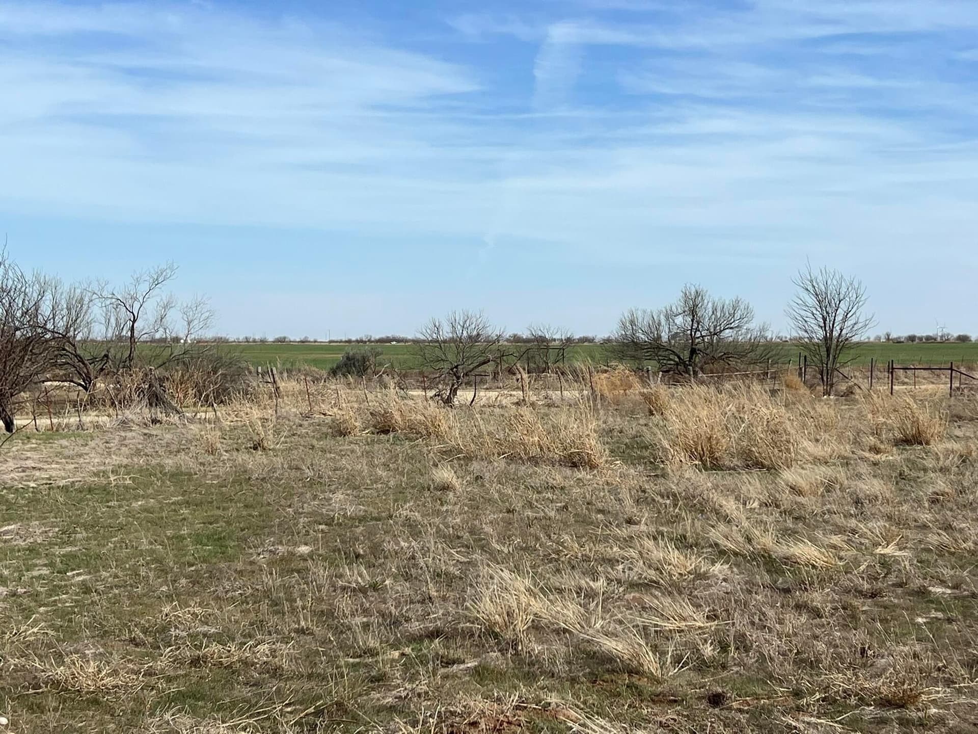 164 acres in Foard County - photo 13